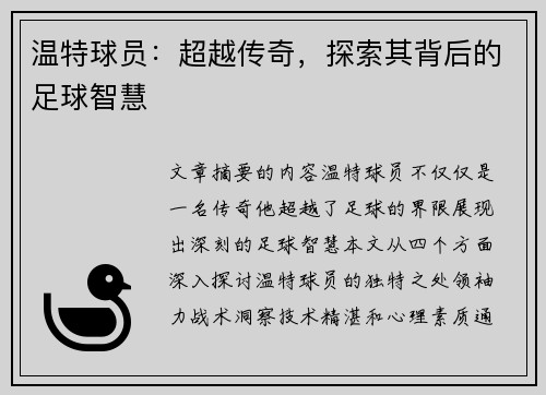 温特球员：超越传奇，探索其背后的足球智慧